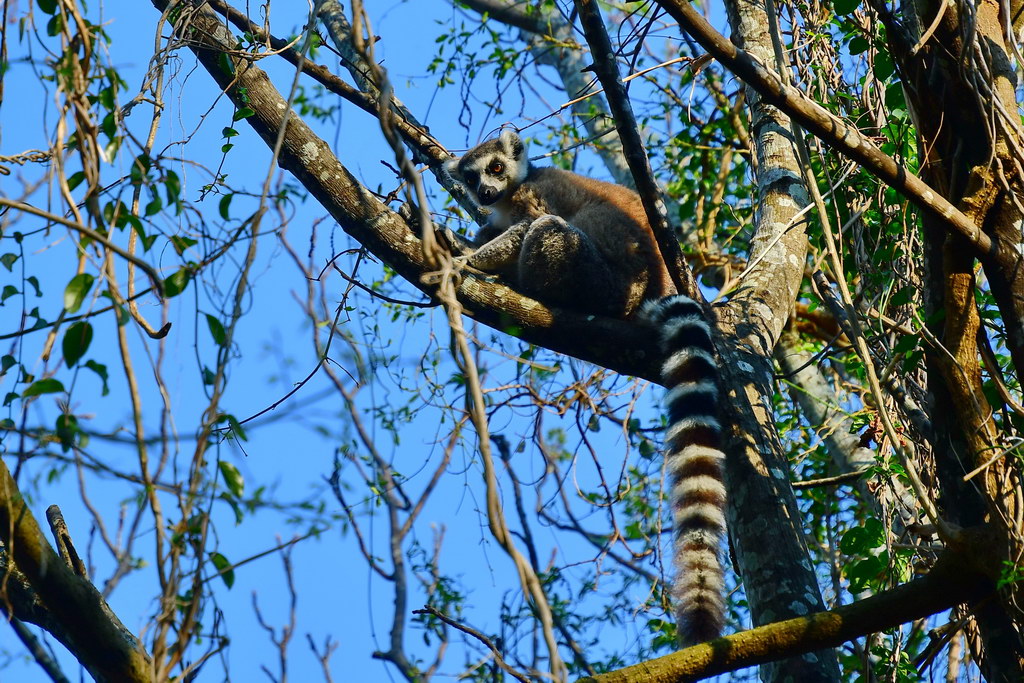 Anja Community Reserve